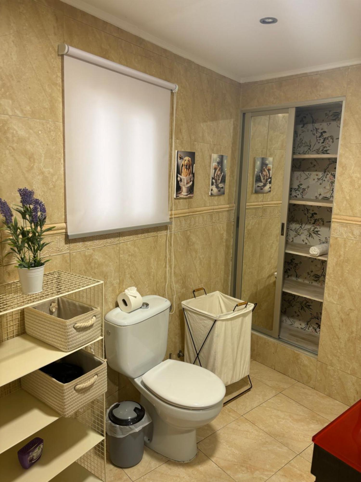 Apartamentos Mayte 托萊多 外观 照片